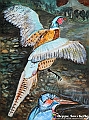 VBS_1572 - Mostra San Francesco. Il Cantico delle Creature
